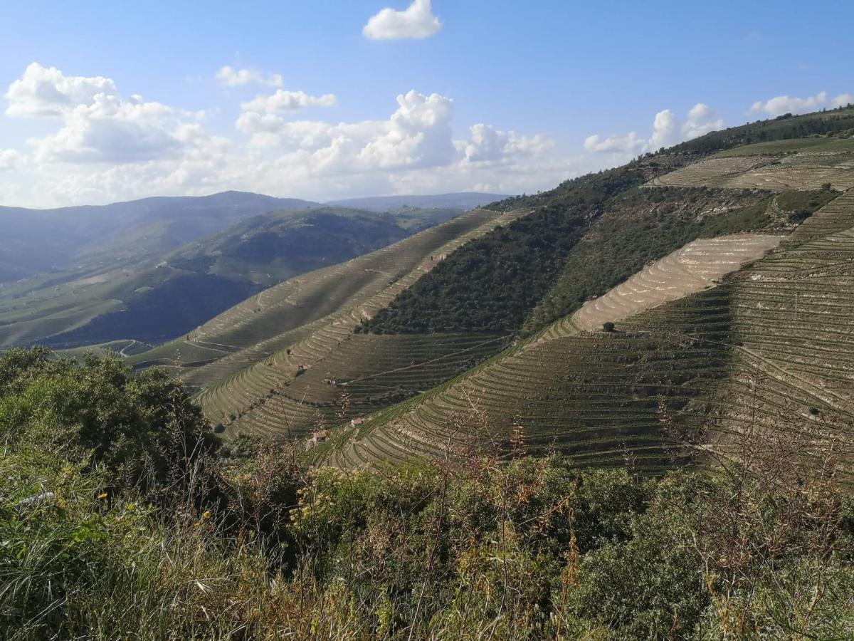 Douro Valley - Casa Da Praca Ervedosa do Douro المظهر الخارجي الصورة